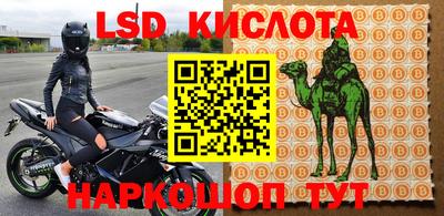 наркотики Кингисепп