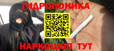 наркотики Кингисепп