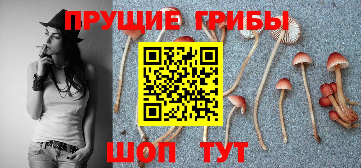 Краснодар  Галлюциногенные грибы мицелий  Вход с VPN  Галлюциногенные грибы прущие грибы 